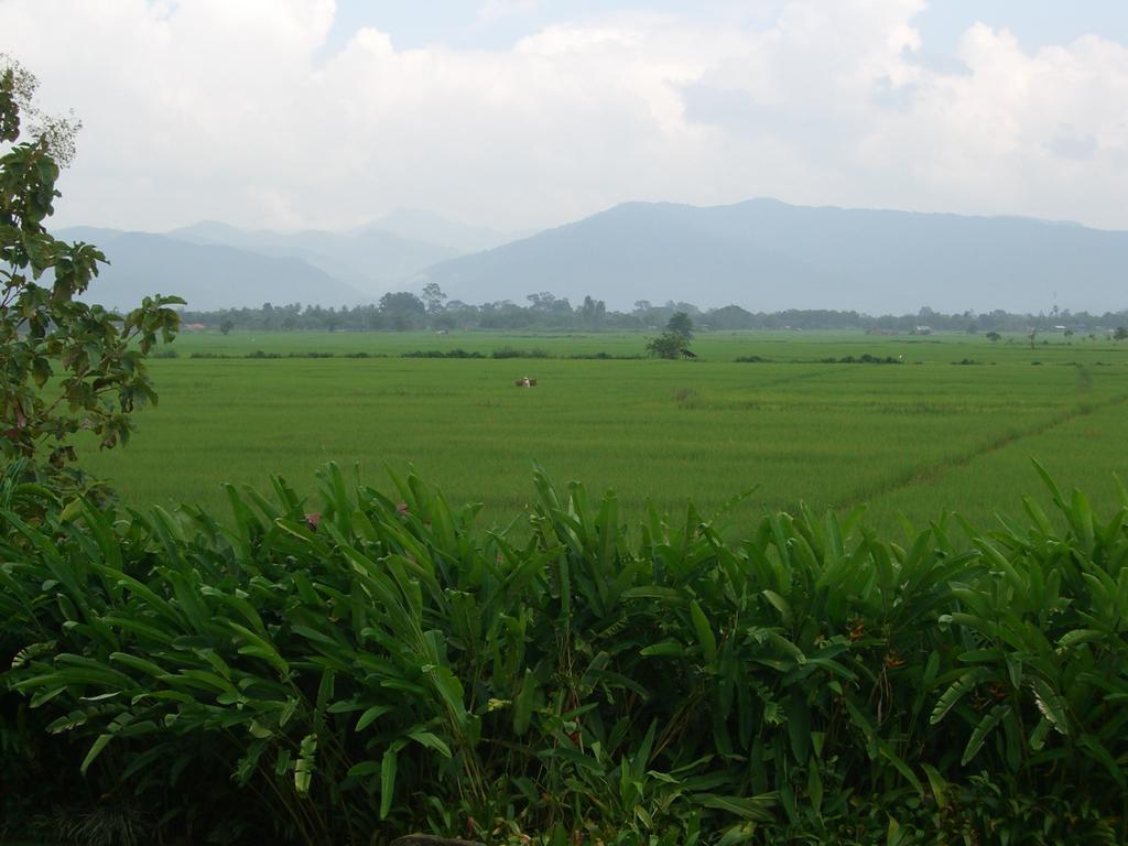 里格度假酒店 Chiang Kham 外观 照片